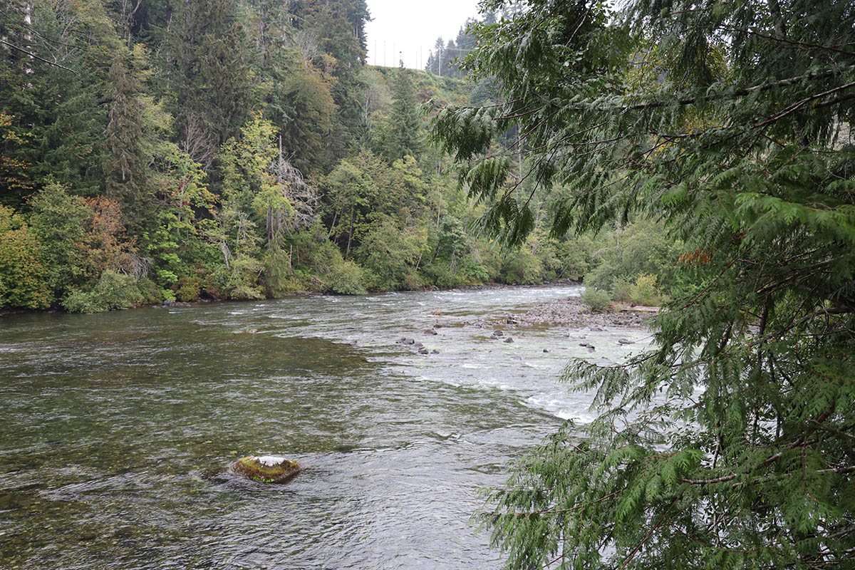 At Quinsam Campground